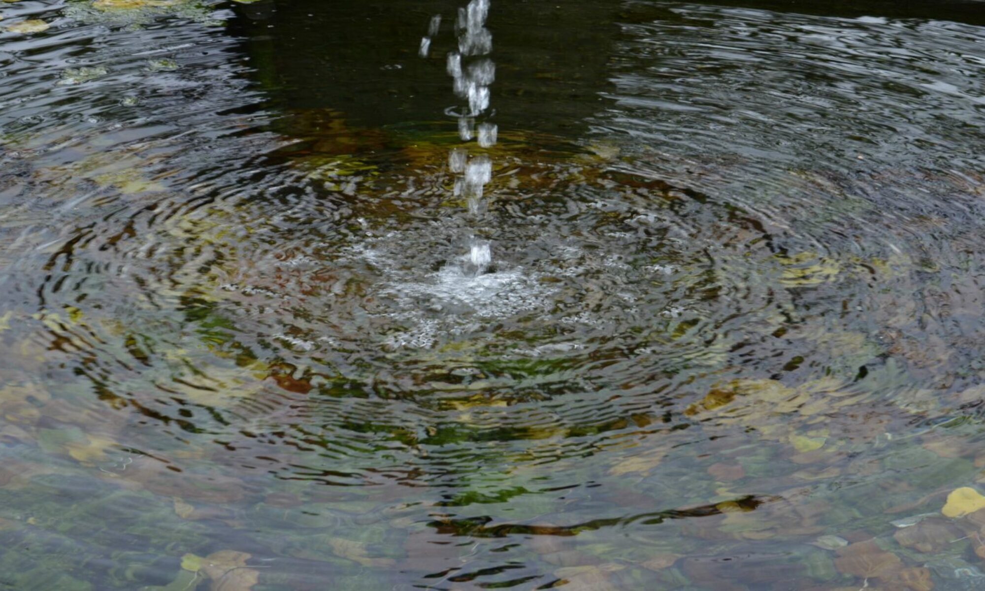 http://www.journos-blotter.com/wp-content/uploads/2021/04/cropped-cropped-Fountain-1.jpg